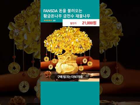 FANSDA 돈을 불러오는 황금돈나무 금전수 재물나무