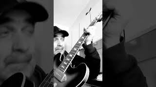 The Meters Essential Grooves #38 -  Trick Bag #eugeniomirti #themeters #doodleloop #funk #guitar