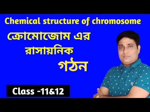 ভিডিও: একাধিক উত্তরাধিকার উদাহরণ সহ ব্যাখ্যা করুন?