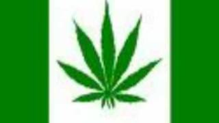 The Pothead Anthem