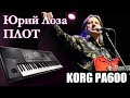 ЮРИЙ ЛОЗА - ПЛОТ на синтезаторе / ХИТЫ 80-х / KORG PA600