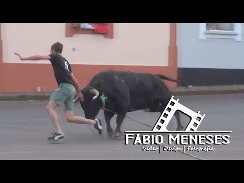 Tourada à corda na Vila de São Sebastião, São Sebastião, 2023