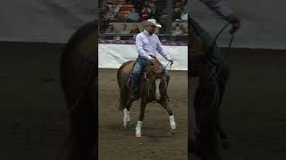 Horses don't have hard mouths. They have hard, stiff bodies #applythemethod