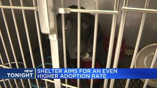 Shelter changes name, aims for higher adoption rate