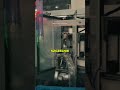 Zautomatyzowana produkcja papierowych kubków