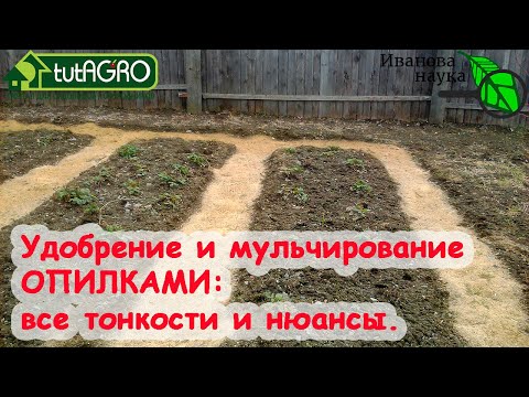 Видео: Можно ли использовать опилки в качестве мульчи: информация о мульчировании опилками