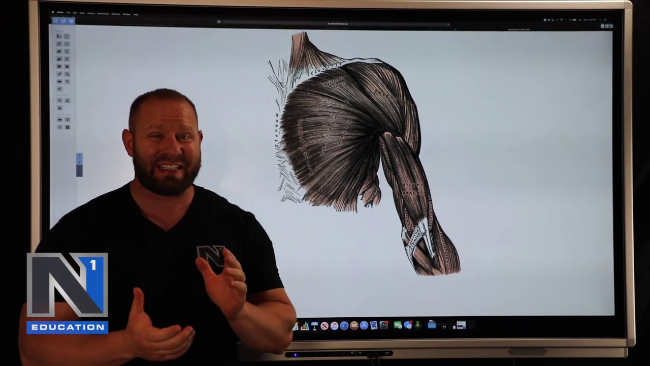 The Pec is not really an internal rotator.