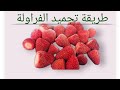 طريقة تشغيل الفراولة المجمدة علي جهاز IQF 