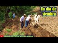 Asi es Un dia sembrando Maiz,🌽 frijol y calabaza en mi Pueblo 🌾