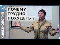 Почему трудно похудеть? Как похудеть? Кинезиология. Л.Ф.Васильева