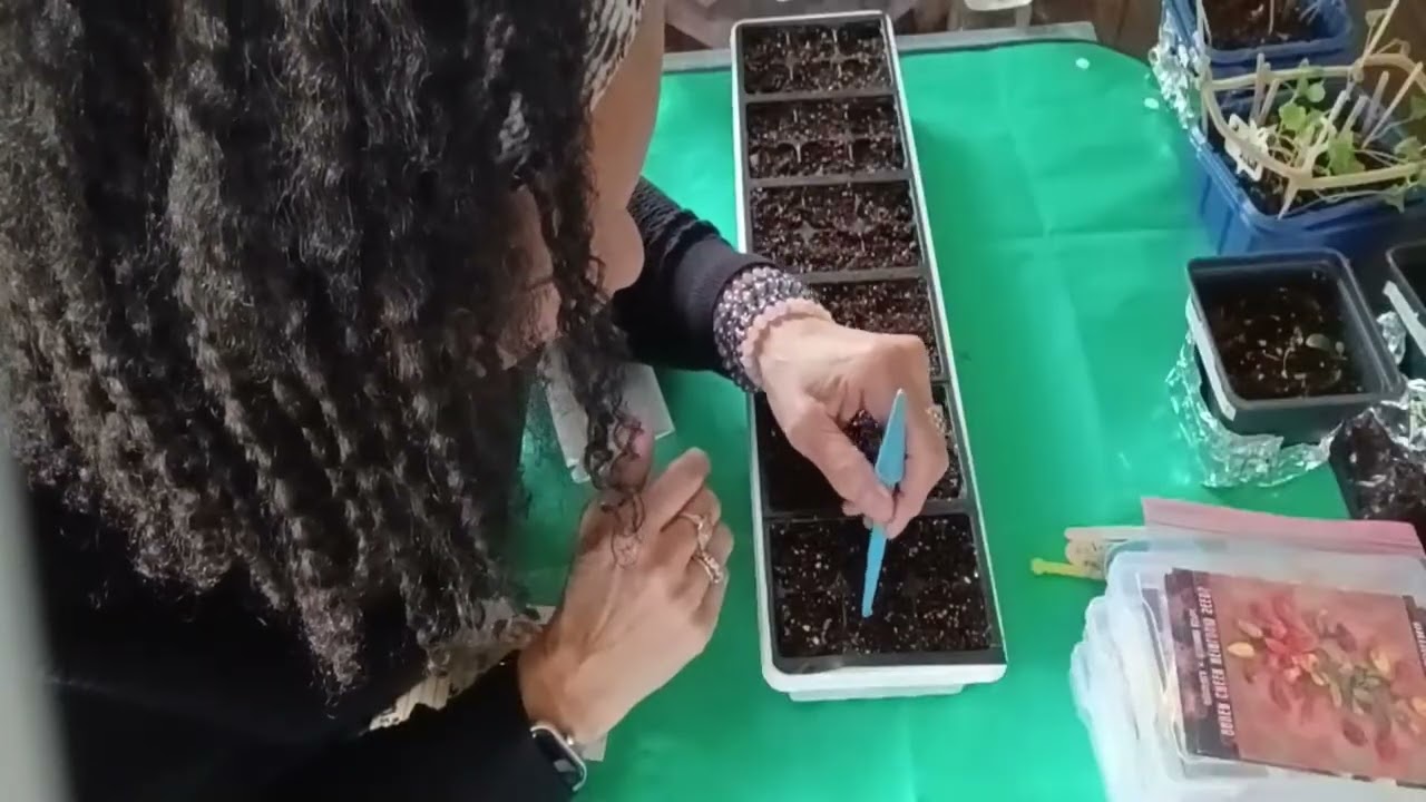 Copy of #wig2025 Update | Starting Over