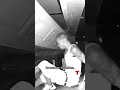 Captado en cámara: Tesla se estrella contra una casa