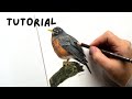 Learn to draw a robin | colored pencils for beginners