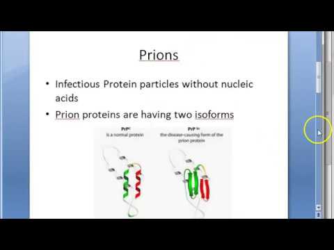 Wideo: Czym jest prion w mikrobiologii?