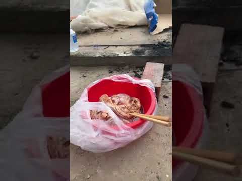 hôm nay chủ nhật