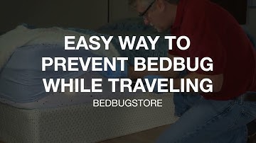 Bedbug Travel Protection: Easy Way to Prevent Bed Bugs While Travelling | Bedbug Spray - Bedbugstore