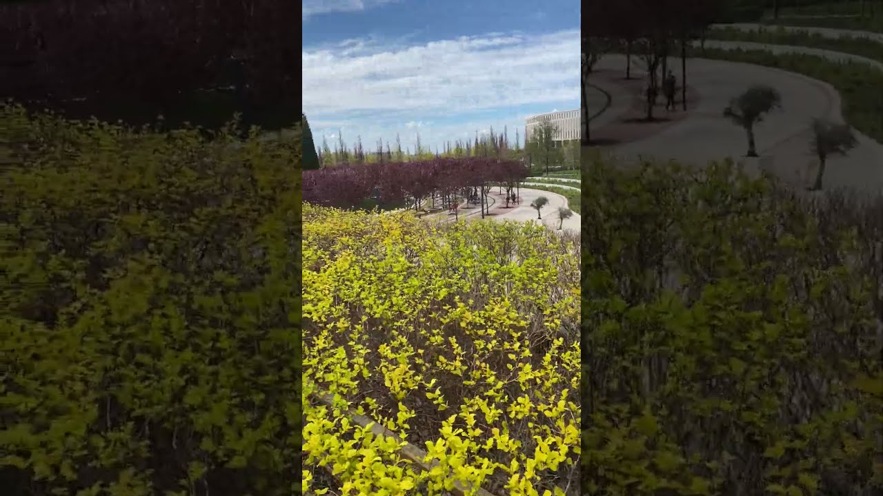 #отдыхвроссии