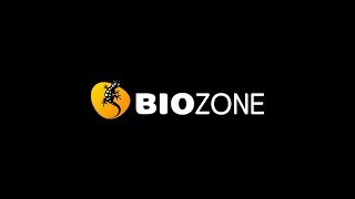 BIOZONE Explaining Physics of the Universe