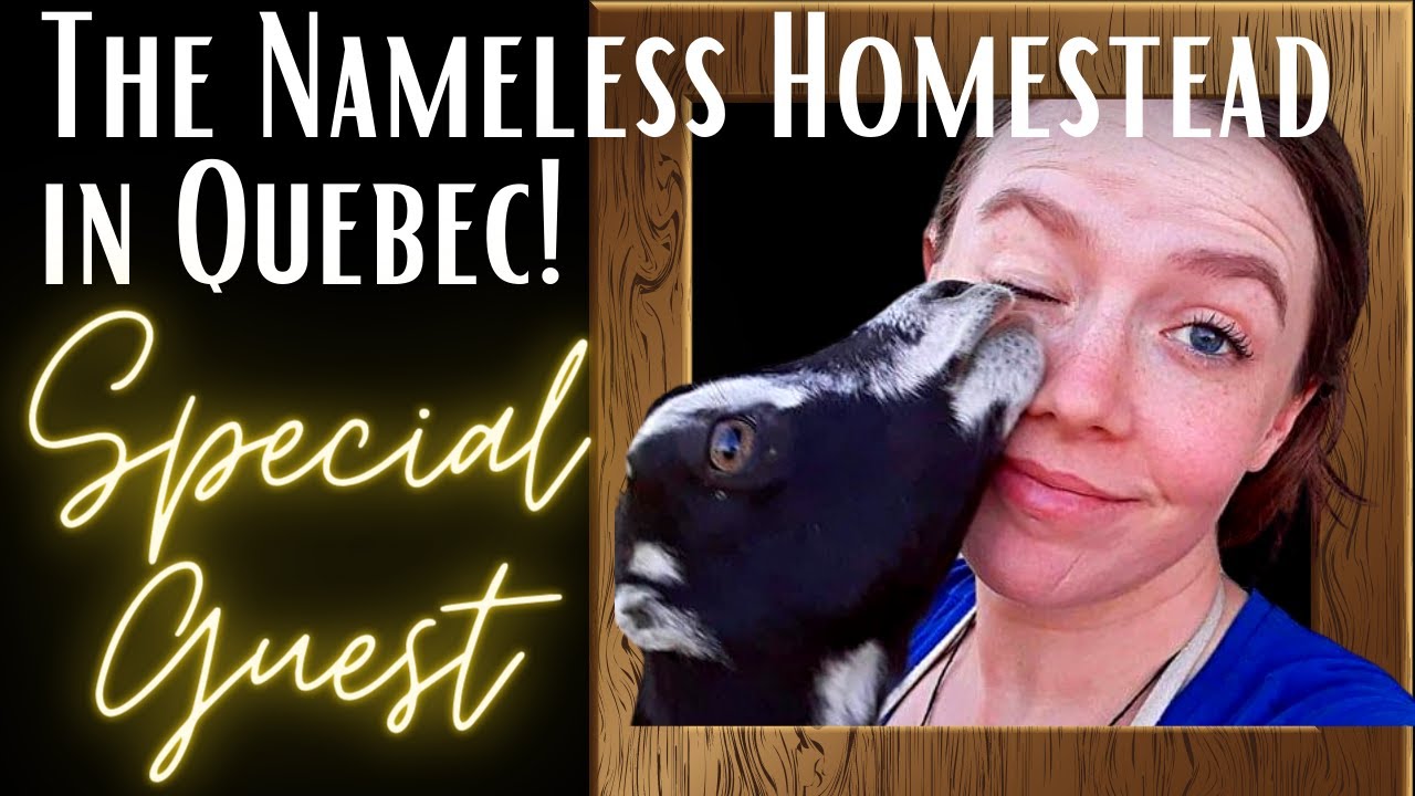 Goat and homestead Talk with The Nameless Homestead