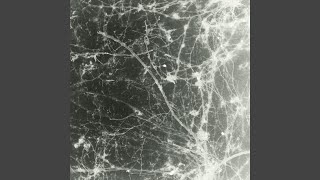 Cold Euphoria - Tropics