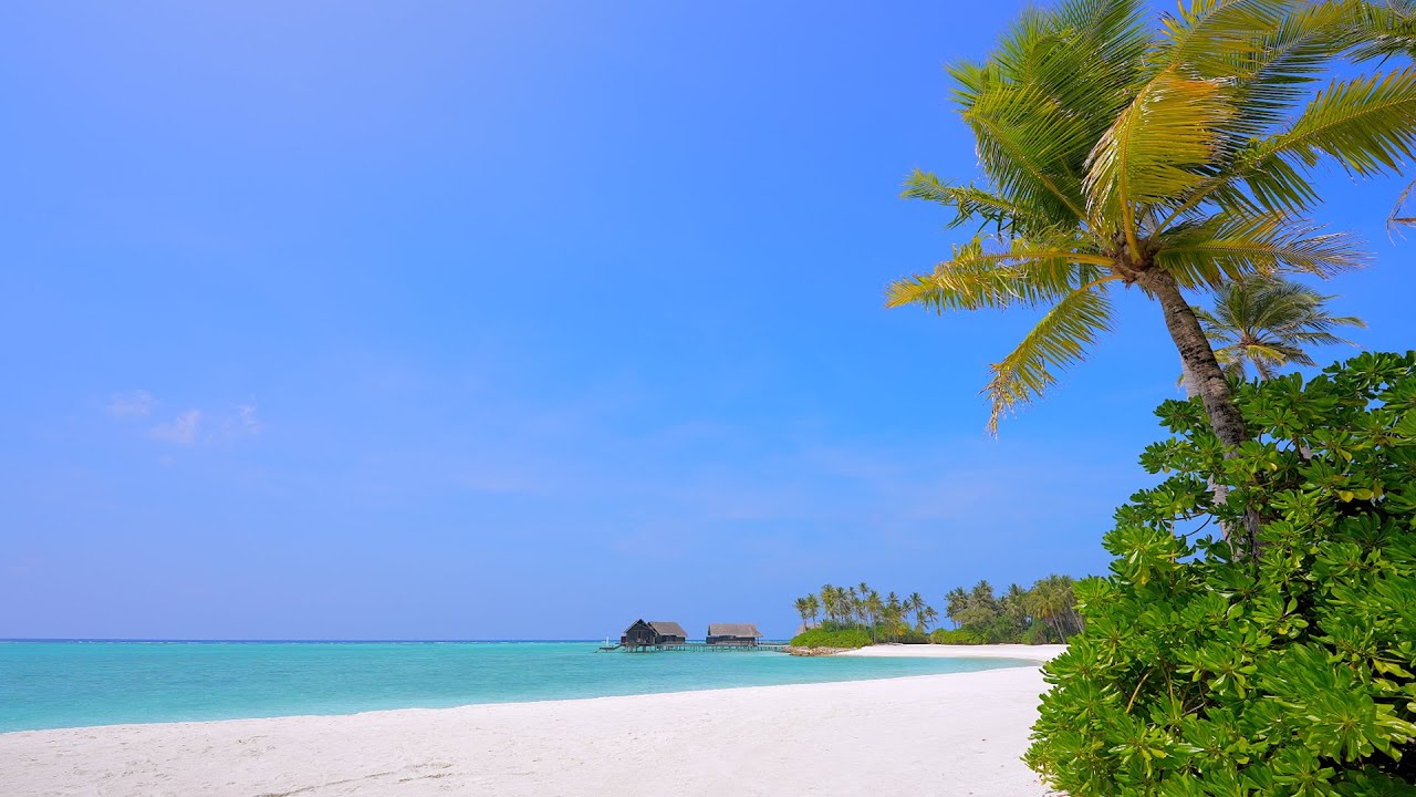 🏝 Fall Asleep With Relaxing Wave Sounds. Ocean Waves 4K UHD. Maldives Beach