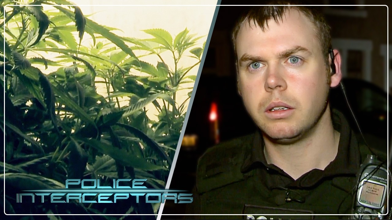 UK Cops Raid Suspected Cannabis Farm | Police Interceptors FULL EPISODE