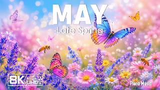 Springtime Splendor 4K | Blooming Flower Paths, Gentle Bees & Butterflies A Peaceful Garden Escape