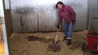 How to Clean a Stall