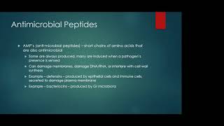 Ch 17 Innate Immunity Lecture Video