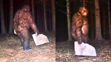 BIGFOOT LIFTS 40-POUND SALT BLOCK on CAMERA — Game Wardens’ NIGHT Turns Into a BLOOD-SOAKED HORROR