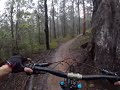 Hardwood road trail - reverse