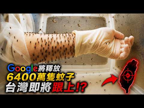 [生物放大鏡] 千萬蚊子大軍救世還是滅世? | 拯救人類的蚊子 | 你支持還是反對?