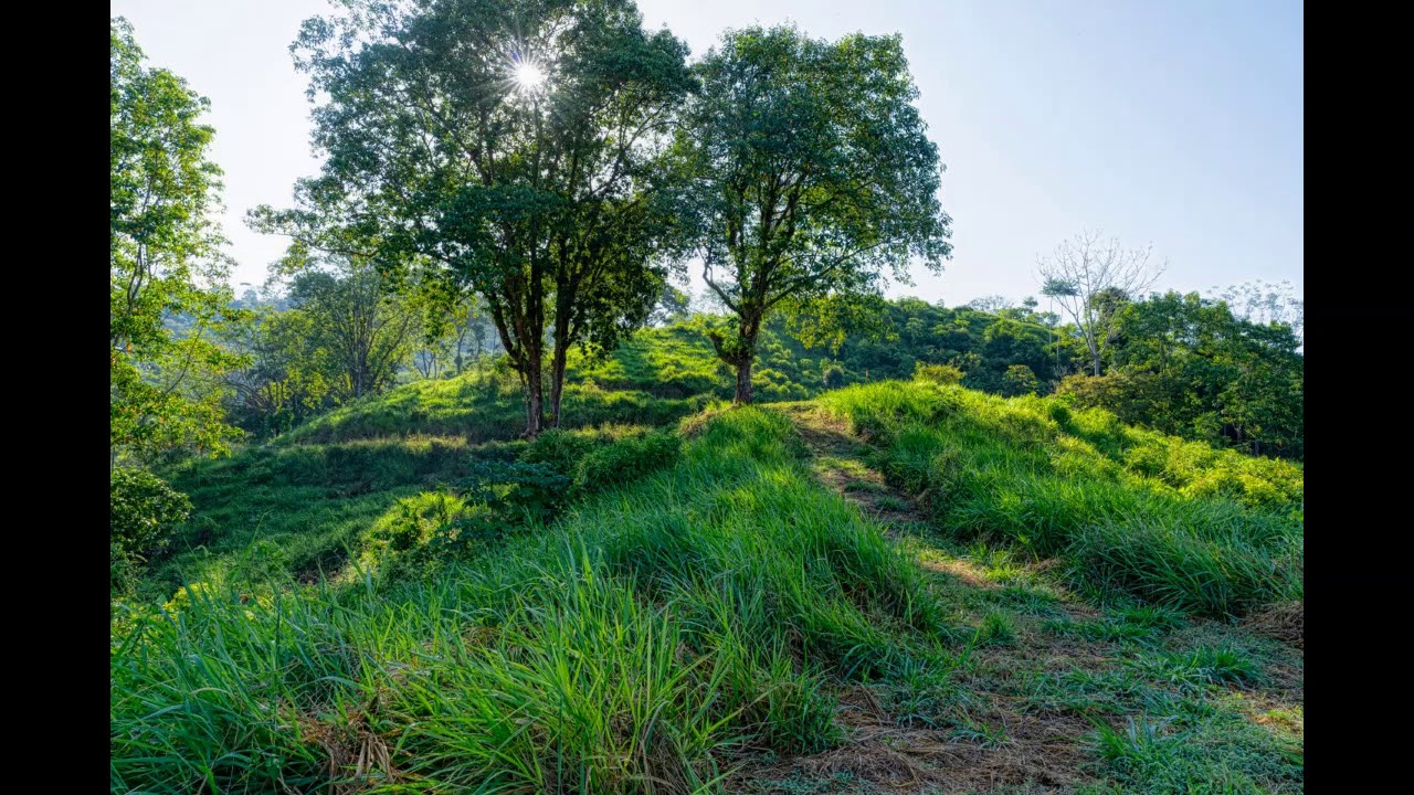 33 ACRES Sunset Ocean View Acreage W/+ Building Sites Perfect For