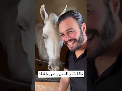 لماذا تنام الخيل و هى واقفة ٦٠شو مع الدكتور حاتم ستين