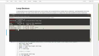 Loop Devices