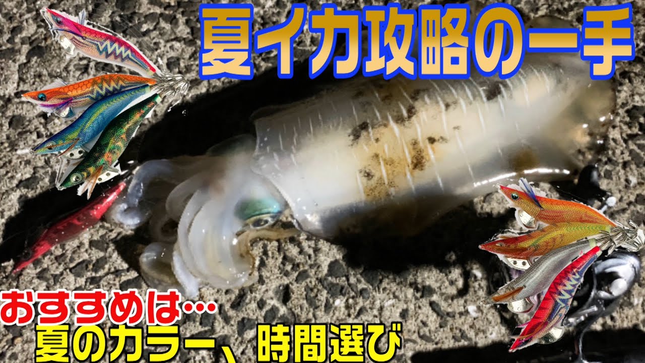 夏エギングで選ぶべきエギカラー おすすめ釣行法は 夏イカエギング攻略の一手 Youtube