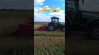 Работа трактора Deutz-Fahr Agrofarm-115 с навесным мульчером по измельчению пшеничной соломы. 😏👌