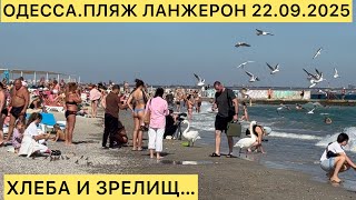 ✅ОДЕССА.ПЛЯЖ ЛАНЖЕРОН 22.09.2025 ХЛЕБА И ЗРЕЛИЩ…