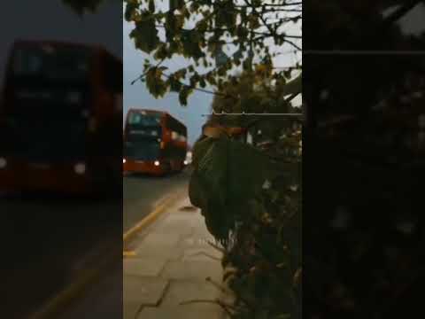 كثرو ملاليح السفينه 