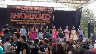 Download Lagu MASA LALU - ELSA SAFIRA - OM. NEW PALLAPA LIVE GAMAND MP3