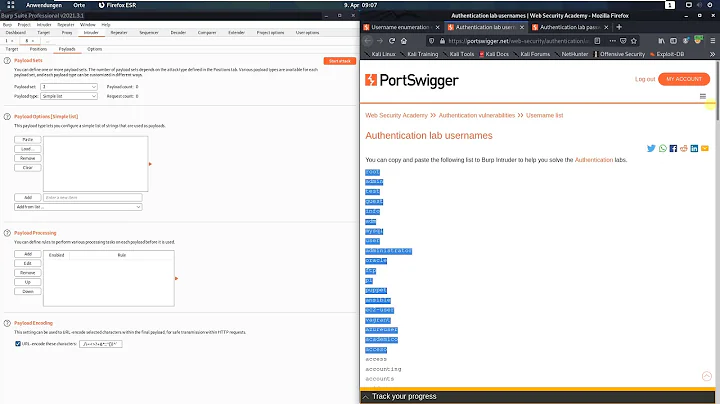 Username enumeration via response timing (Video solution, Audio)