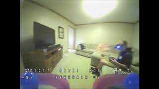 Flying Beebrain V2 In House