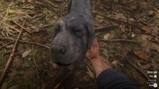 I could do this all day - Red Dead Redemption 2