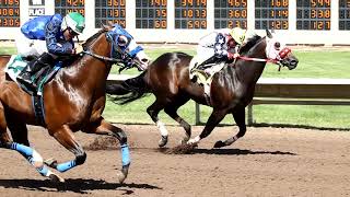 2025 All American Futurity Qualifier ROVOS RAIL