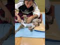 Monkey Family Bedtime: Newborn Safe with Big Brothers 🐒💤💞