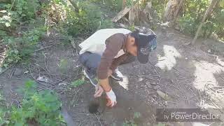WebQuest2 TreePlanting HD