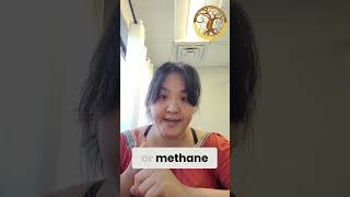 SIBO Breath Testing Explained: Hydrogen, Methane, and Hydrogen Sulfide