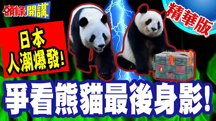 看熊貓打麻將!爭看熊貓最後身影! | 日本人潮爆發!限看一分鐘!日本右翼眼紅吃味嫌棄租金貴!