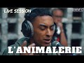 Capture de la vidéo L'animalerie | Freestyle @ Gimmic