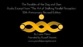 Parables from The Art of Stalking Parallel Perception (10th Anniversary Edition)